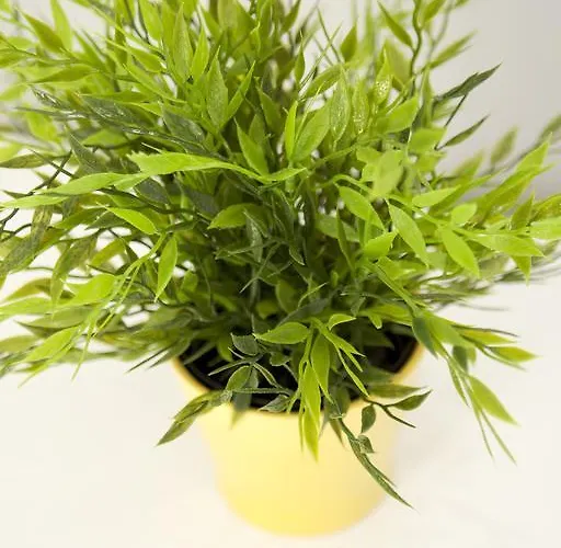 Alojamento de Acomodação e Pequeno-almoço Smart Holidays Roma