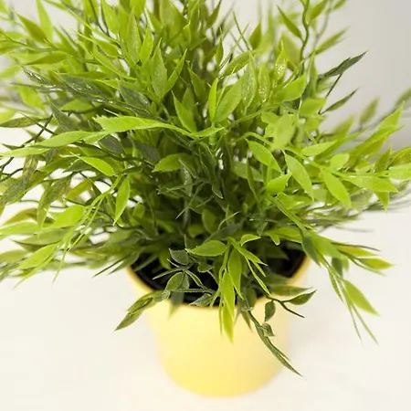 Bed & Breakfast Smart Holidays Rom